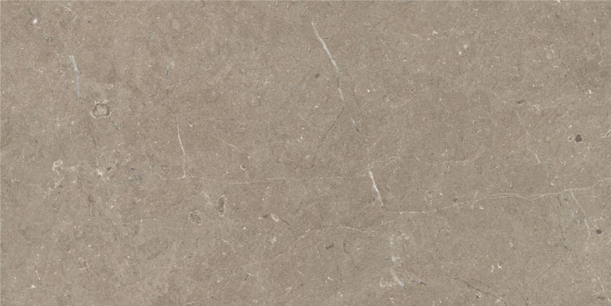 Carrelage de sol extérieur Mystone Limestone - grès cérame rectifié - ton taupe structuré - 60x120 cm - ép. 20 mm