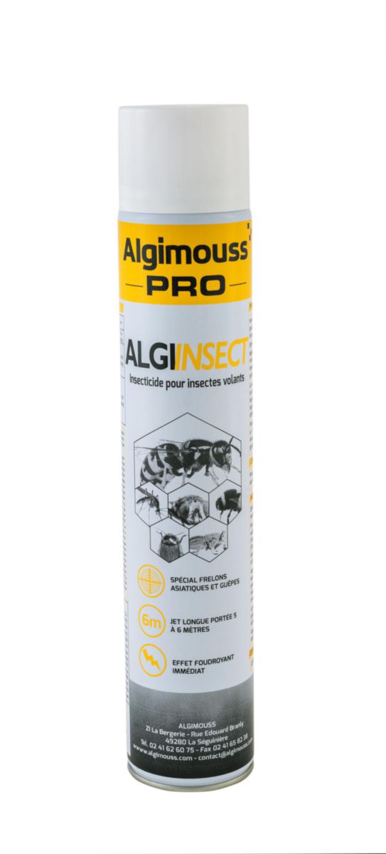 Insecticide Algi Insect spécial frelon asiatique - aérosol de 750 ml