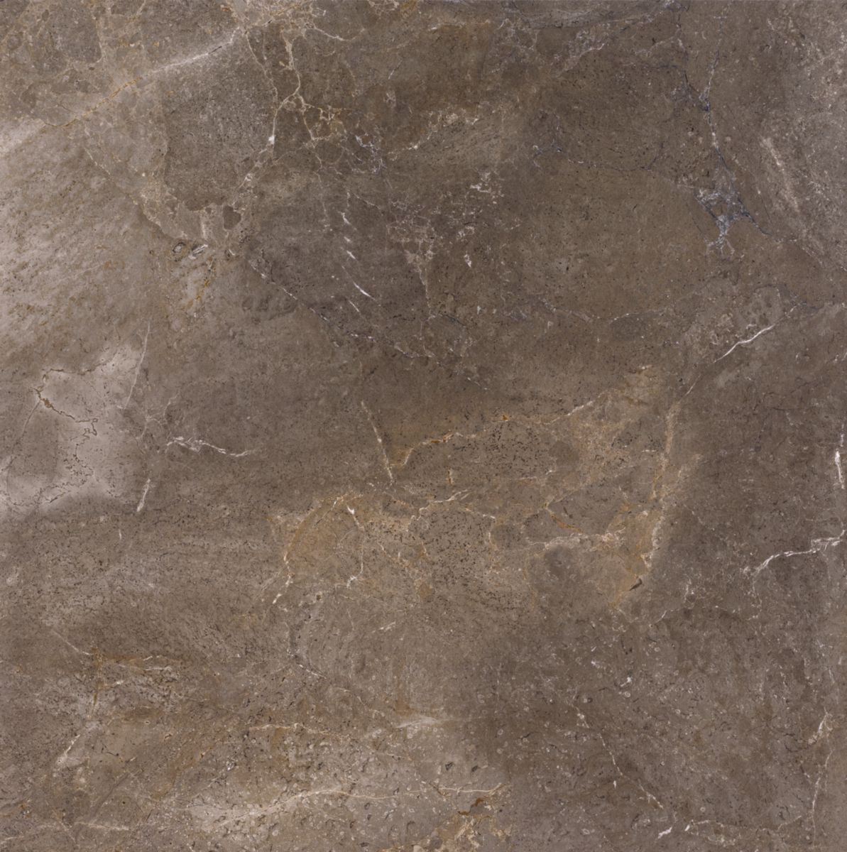 Carrelage grès cérame Royal Stone - imperial brown - 60x60 cm - ép. 8 mm