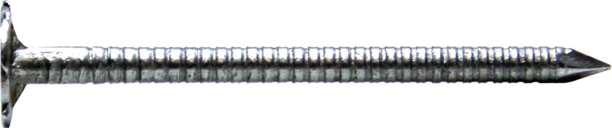 Pointe tête extra large tige annelée inox 17% longueur 70 mm diamètre 3 mm boîte de 5 kg réf. QAF17/70.30