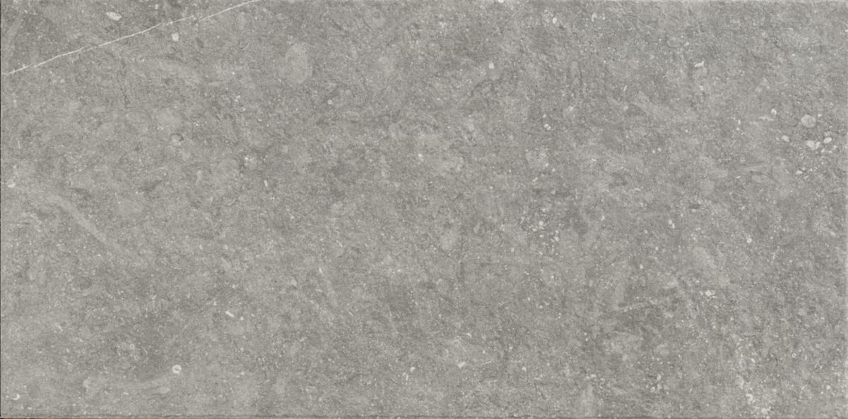 Carrelage de sol extérieur grès cérame Mystone Bluestone - grigio rectifié - 50x100 cm - ép. 20 mm