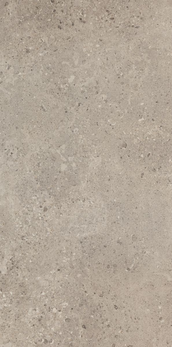 Carrelage sol intérieur Mystone Gris Fleury - grès cérame rectifié - taupe - 60x120 cm - ép. 10,5 cm