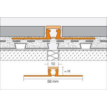 Profilé de fractionnement DILEX-BWB - pose collée - gris - L. 2,50 m - ép. 12,5 mm