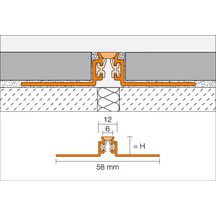 Profilé pour joint de fractionnement DILEX-AKWS - aluminium gris - L. 2,50 m - ép. 10 mm