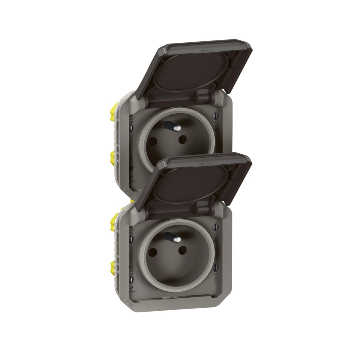 Double prise de courant précâblée 2x2P+T verticale étanche Plexo - 16 A - 250 V - IP55 à équiper de support plaque ou boîtier saillie 2 postes, avec enjoliveurs anthracite Réf. 069843L