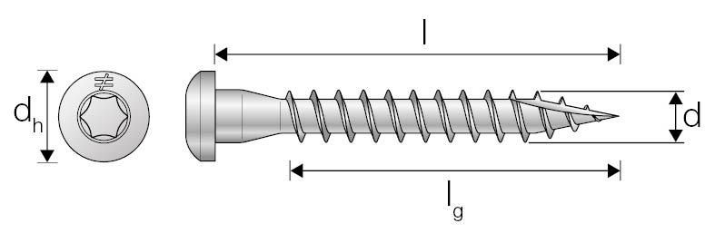 Vis tête Torx CSA - acier électrozingué blanc - Ø 5x40 mm - boîte de 250 pcs