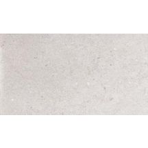 Faïence murale Antica - ton grey mat - 24,7x44,7 cm