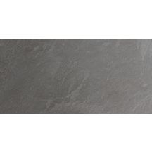 Grès cérame Pastorelli Denverstone silver mix naturel 30 x 60 cm P007462J