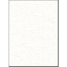 Panneau en plaque de plâtre BF13 standard - blanc perle - 3x1,2 m