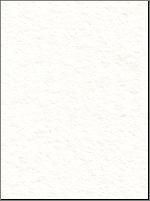 Panneau en plaque de plâtre BF13 standard - blanc perle - 3x1,2 m