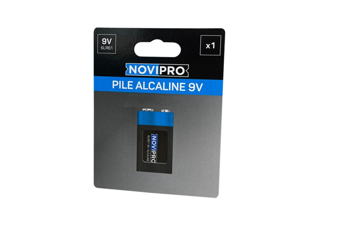 Pile 6LR61 9V Alcaline