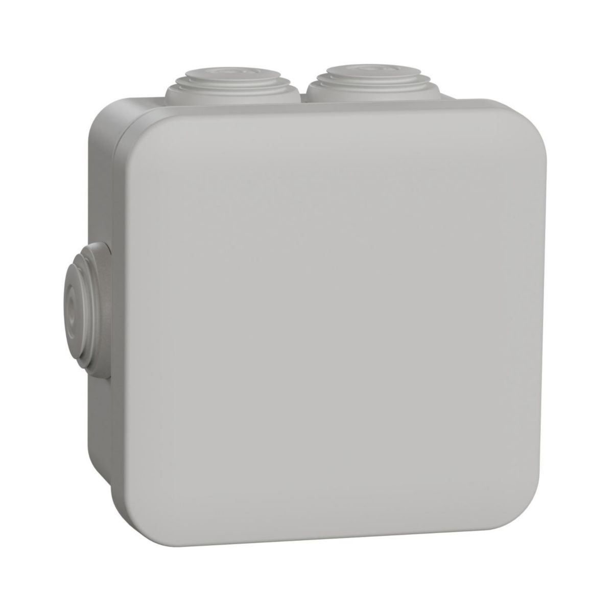 Boite de dérivation Mureva 7 entrées - plastique gris - IP55 - 80x80x45 mm - avec embouts