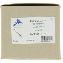 Clou calotin zinc tige torsadée longueur 70mm diamètre 3,0mm boîte de 250 réf. QAF61/70