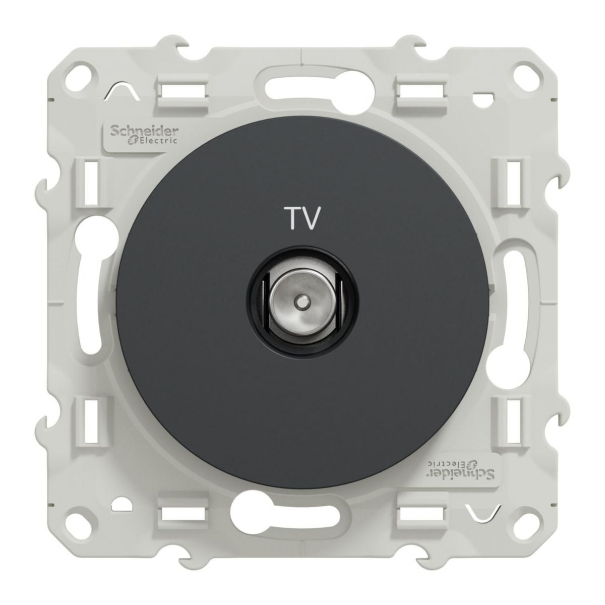 Prise TV standard Odace - anthracite