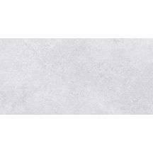 Carrelage mural faïence Verse - grey mat - 30x60 cm