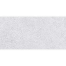 Carrelage mural faïence Verse - grey mat - 30x60 cm