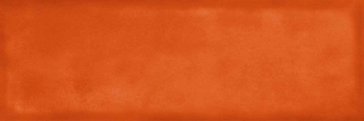 Carrelage mural faïence Juicy - orange brillant - 9,7x29,7 cm