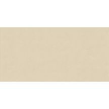 Faïence murale Floralia - beige naturel rectifié - 60x120 cm - ép. 7 mm