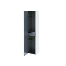 Colonne Alterna Domino - hauteur 160 cm - 1 porte - gris anthracite laqué