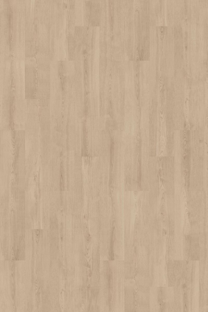 Lame Harmony One Encore elben oak extears f05 246 x 1290 mm