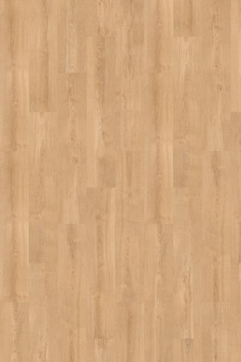 Lame Harmony One Encore elben oak extears f04 246 x 1290 mm