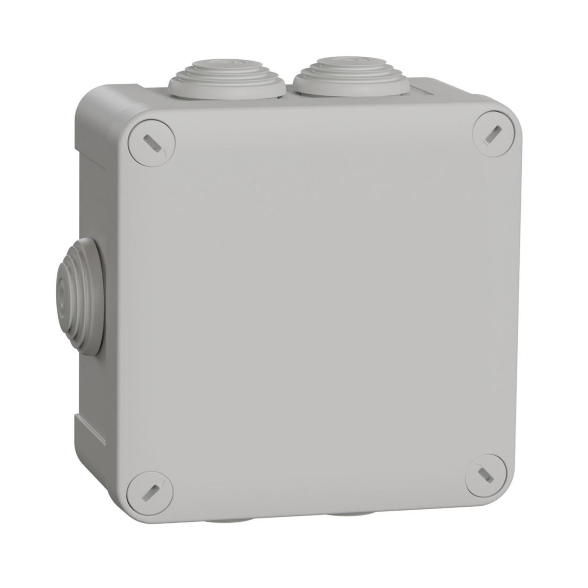 Boite de dérivation Mureva 7 entrées - plastique gris - IP55 - 105x105x55 mm - avec embouts