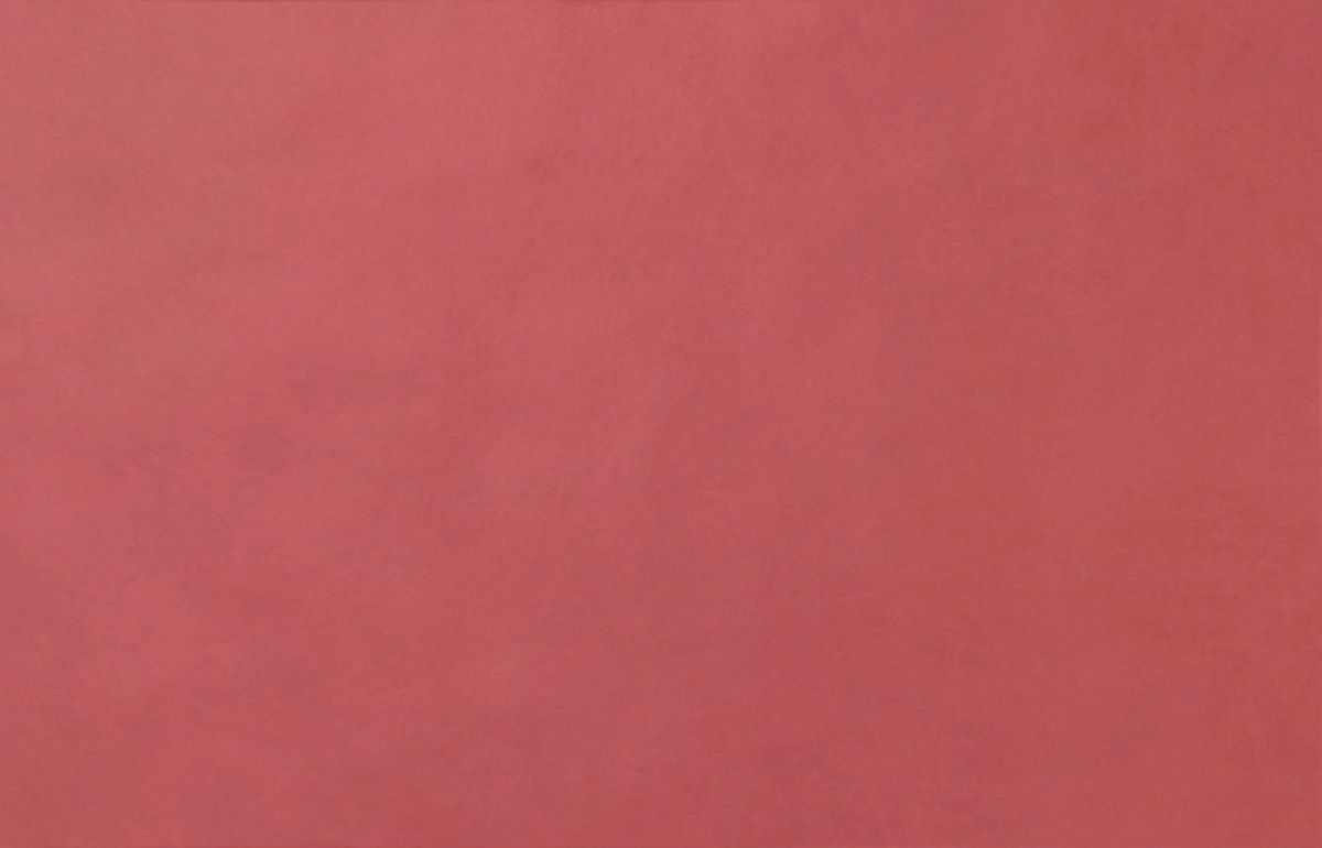 Faïence pour mur intérieur Liv'In - blush red - 26,7x41,6 cm