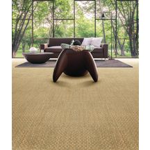 Sol moquette Harmony one en fibre naturelle 100 % jonc de mer moquette antoine largeur 4 mètres minimum de commande 4 m2 8072381