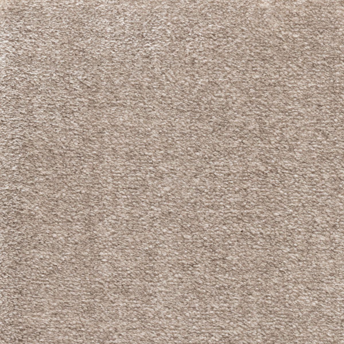 Sol moquette Harmony one tuft en polypro soyeux moquette volubilis dune largeur 4 mètres minimum de commande 4 m2 85134992