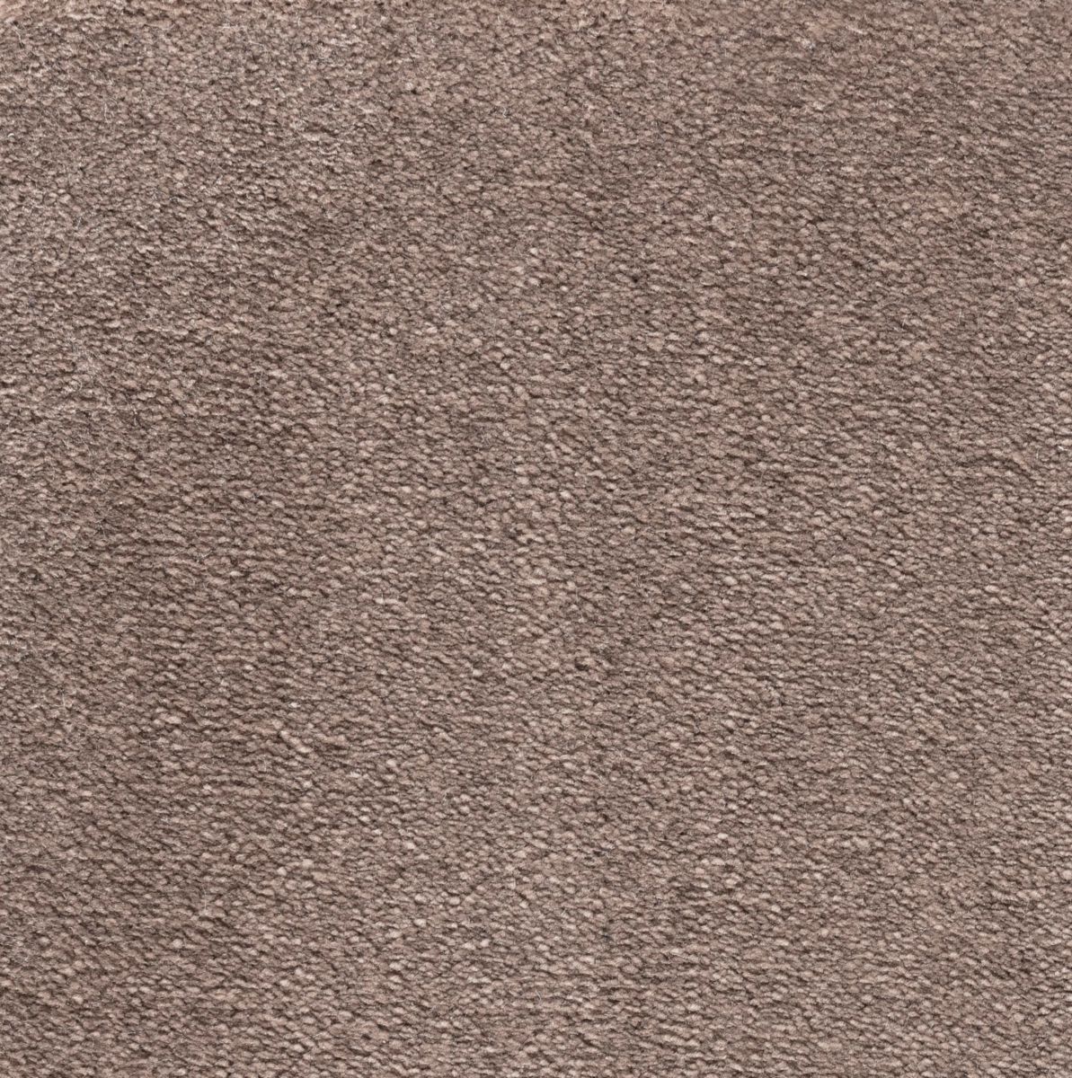 Sol moquette Harmony one tuft en polypro soyeux moquette volubilis wisp largeur 4 mètres minimum de commande 4 m2 85134963