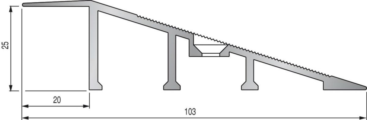 Rampe d'accès à visser RMP2 - pour revêtement ép. 25 mm - L. 3 m