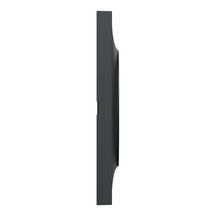 Plaque de finition Odace Styl - 1 poste - anthracite