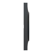 Plaque de finition Odace Styl - 2 postes - anthracite