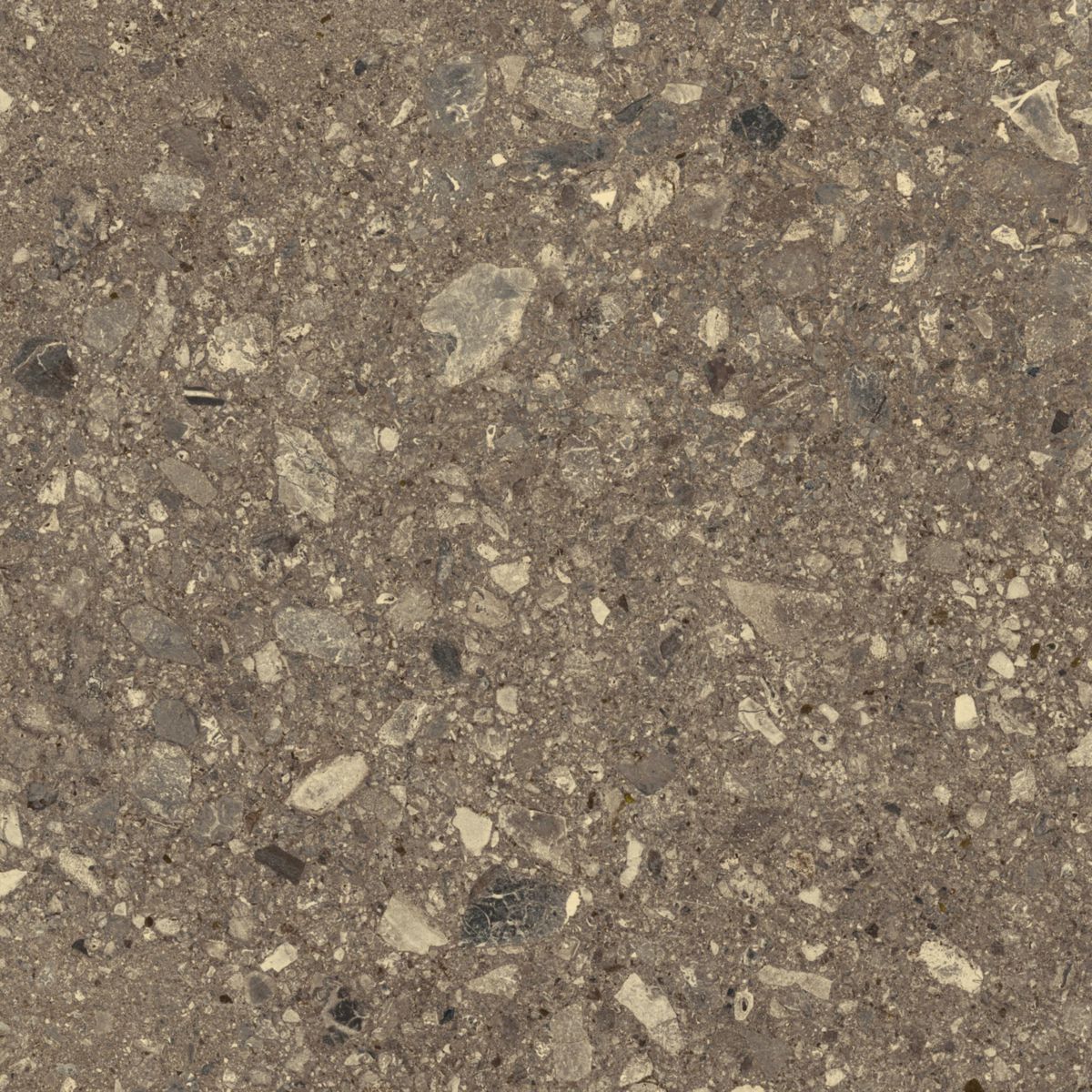 Carrelage de sol intérieur Mystone Ceppo di Grè - grès cérame rectifié - beige - 60x60 cm - ép. 10 mm