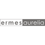 Logo ERMES