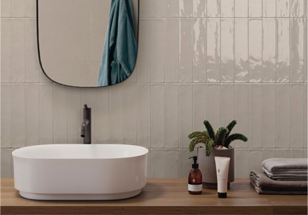 salle de bain avec mur blanc brillant